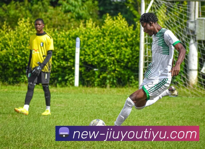 九游体育平台生态图